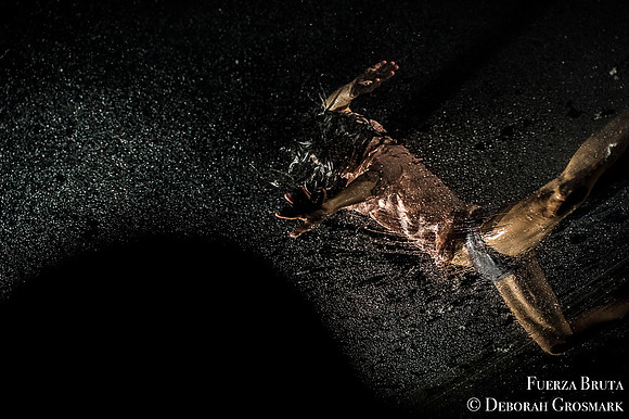 Fuerza Bruta, Daryl Roth Theatre, NYC