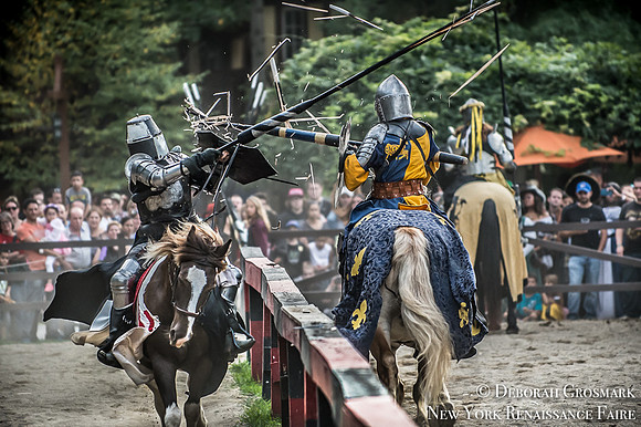 The New York Renaissance Faire - Joust & CombatThe New York Renaissance Faire: Joust & Combat Documentation