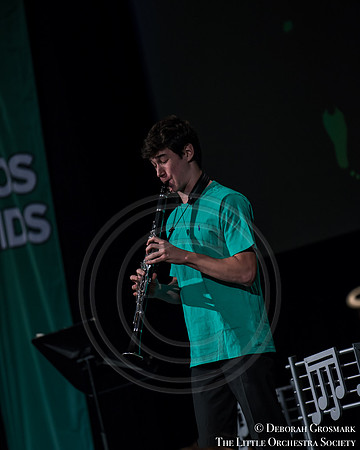 DGrosmark-LOSKids_Mozart_Dress20151104DG4_1933