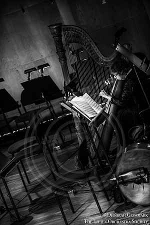 LOS_Cindy_Reh_20150418DAG_8273