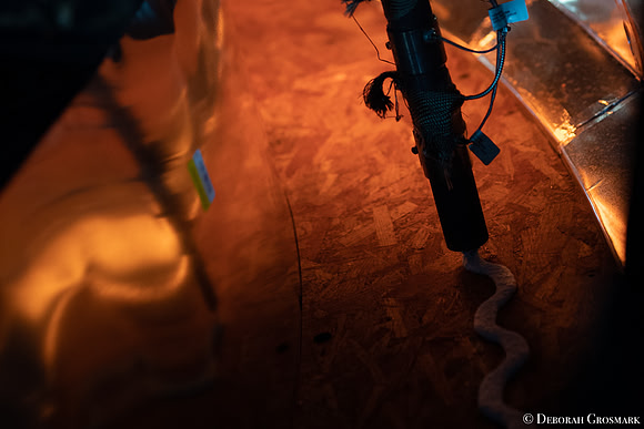 DGrosmark-AISF_TERA_PP20191212_DG8_4804-4