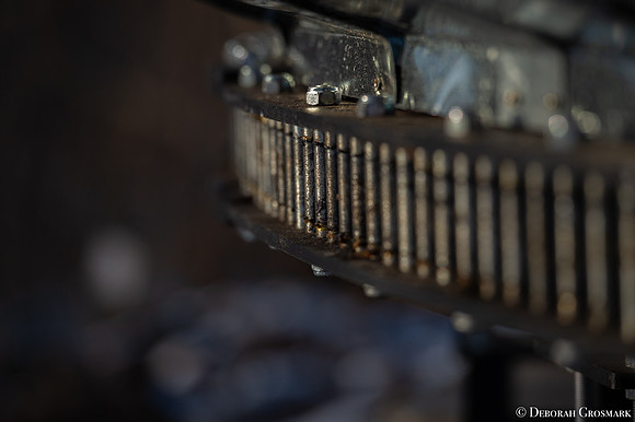 DGrosmark-AISF_TERA_PP20191212__DG43317-1