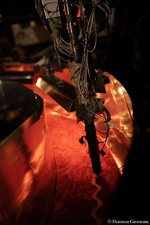 DGrosmark-AISF_TERA_PP20191212_DG8_4801-2