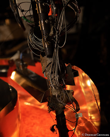 DGrosmark-AISF_TERA_PP20191212_DG8_4801-5
