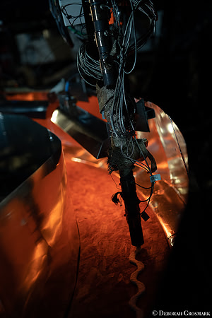 DGrosmark-AISF_TERA_PP20191212_DG8_4801-4