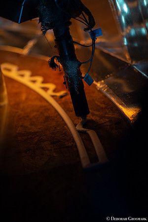 DGrosmark-AISF_TERA_PP20191212__DG43525-4
