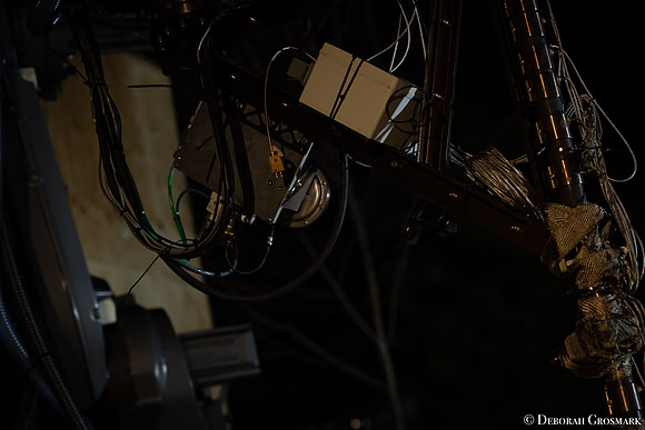 DGrosmark-AISF_TERA_PP20191212_DG8_4835