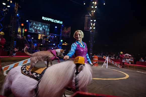 Big Apple Circus - Lincoln Center, NYC