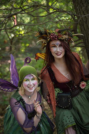 DGrosmark_2017Fairies